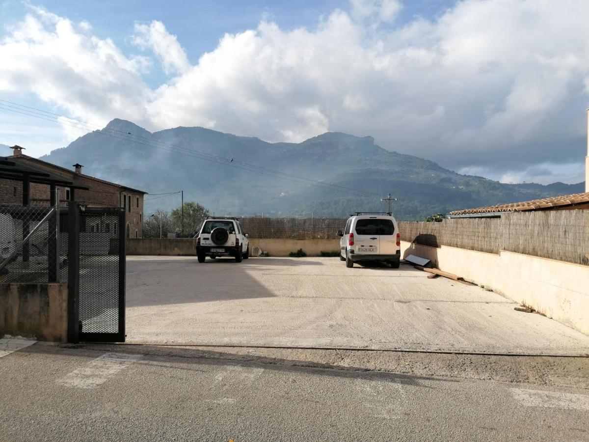 Can Domingo سويير المظهر الخارجي الصورة