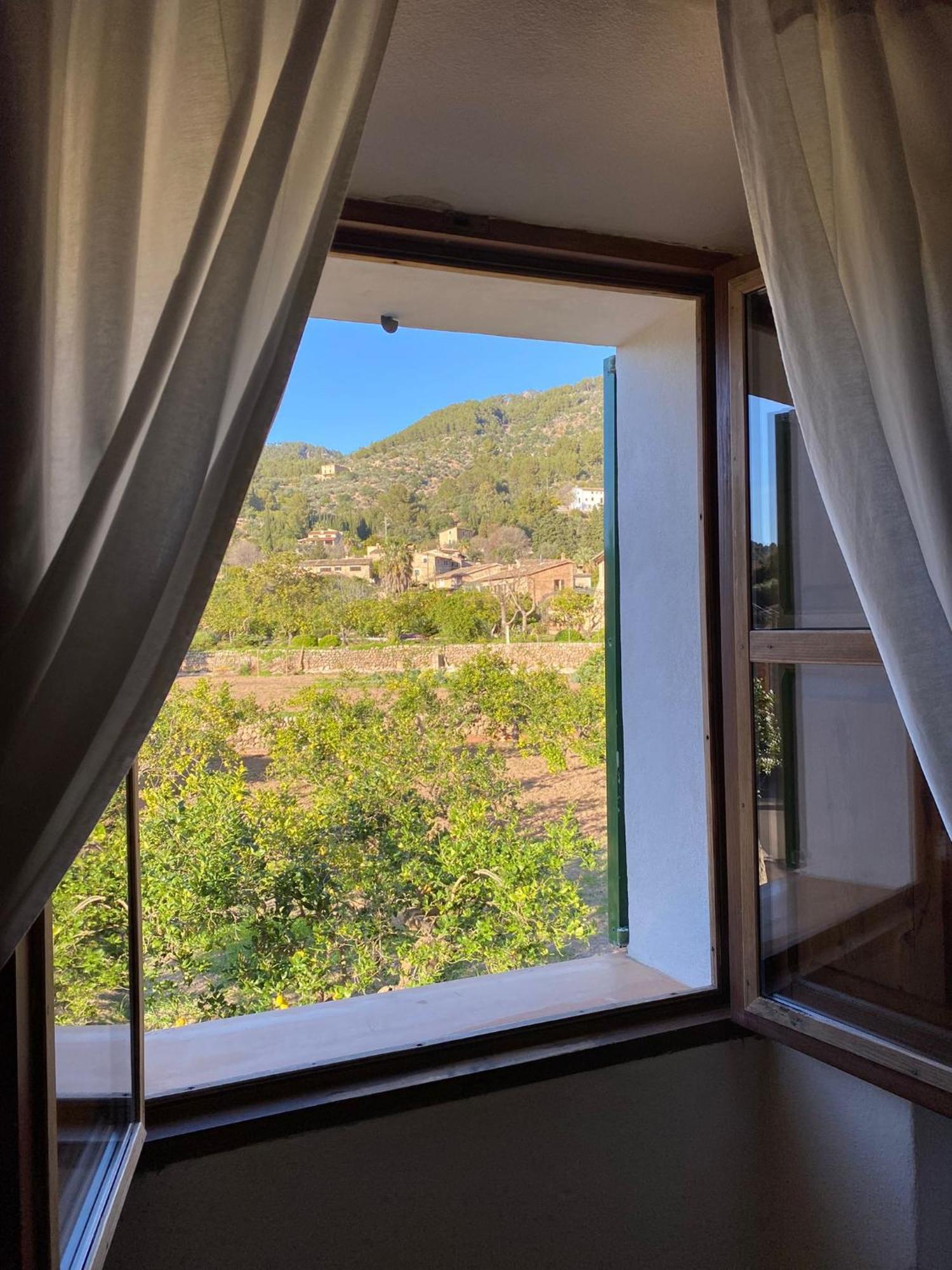 Can Domingo سويير المظهر الخارجي الصورة